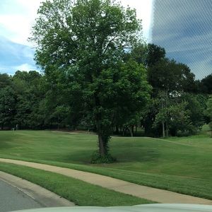 Meet your Posher, Ginger